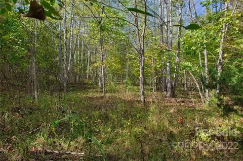 0 Chimney Creek 194 Ln #194, Rutherfordton, NC 28139