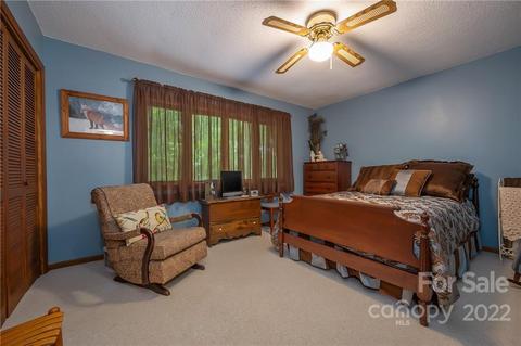 54 Mahler Ln, Tryon, NC 28782 photo 27