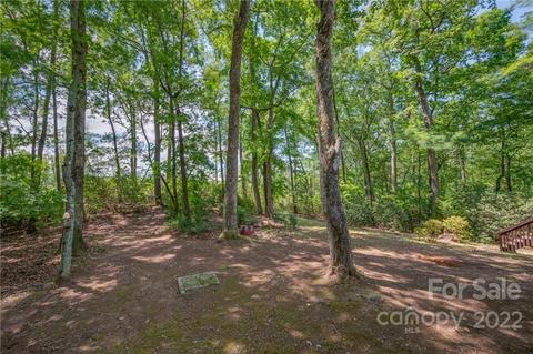 54 Mahler Ln, Tryon, NC 28782 photo 37