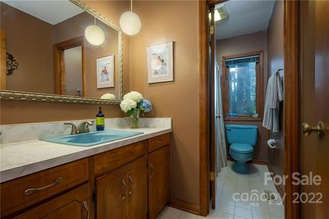 54 Mahler Ln, Tryon, NC 28782 photo 26