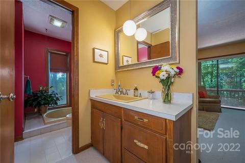 54 Mahler Ln, Tryon, NC 28782 photo 22