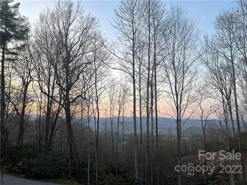 888 Crestview Dr, Brevard, NC 28712 photo 4
