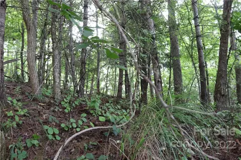 99999 Bartlett Rd, Weaverville, NC 28787