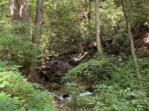 00000 Chad Crawford Rd, Sylva, NC 28779