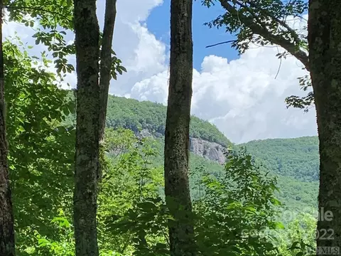 Panthertown 2 Road #2, Lake Toxaway, NC 28747