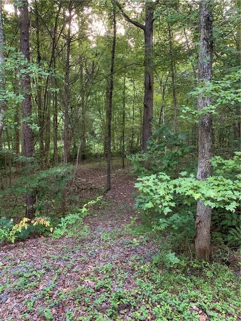 10445 Single Tree Ln, Davidson, NC 28036 photo 10