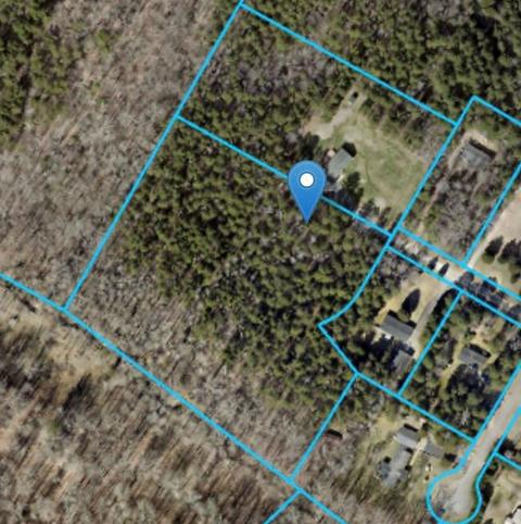 10445 Single Tree Ln, Davidson, NC 28036 photo 3