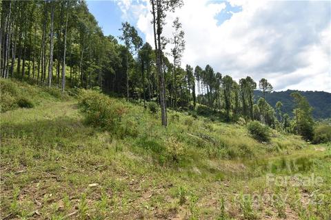 Land Off Turkey Creek Road, Clyde, NC 28721