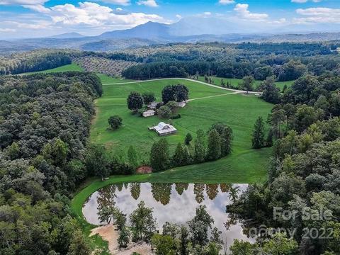 241 Lynch Rd, Mill Spring, NC 28756 photo 1