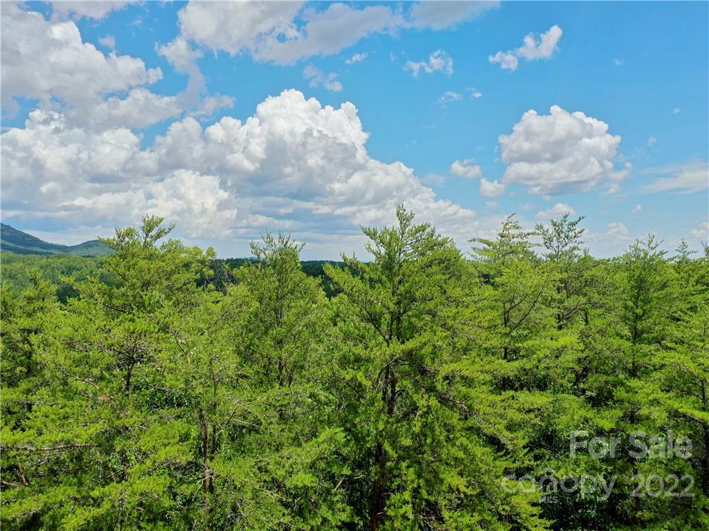 2016 Deep Gap Farm Rd East  