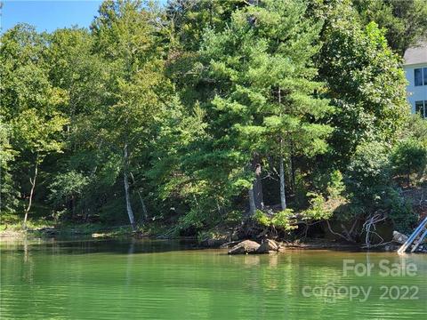 735 Waters Edge 34 Dr #34, Nebo, NC 28761