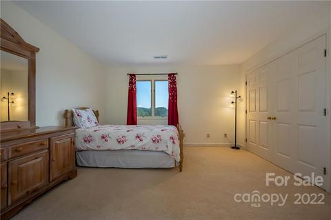 161 Walker Rd, Mill Spring, NC 28756 photo 22
