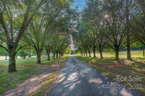 161 Walker Rd, Mill Spring, NC 28756 photo 4