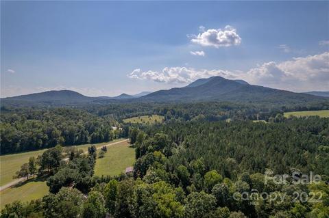 161 Walker Rd, Mill Spring, NC 28756 photo 45