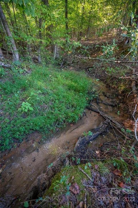161 Walker Rd, Mill Spring, NC 28756 photo 46