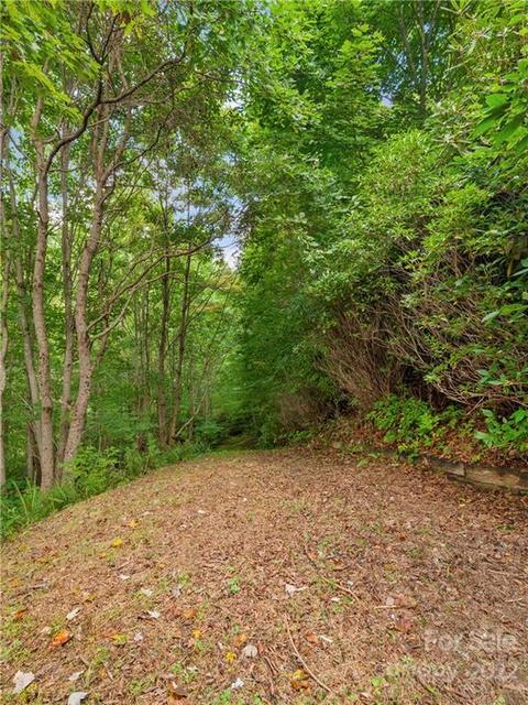 14 Hidden Rd, Clyde, NC 28721 photo 25