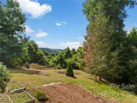 14 Hidden Rd, Clyde, NC 28721 photo 11