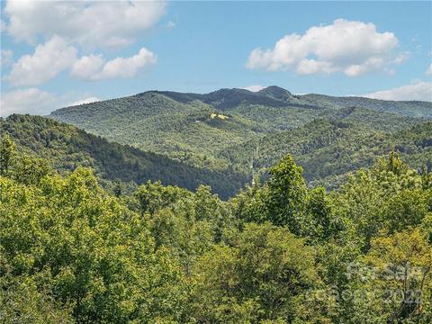 866 Pine Tree Rd, Spruce Pine, NC 28777 photo 30