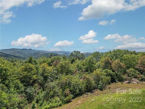 866 Pine Tree Rd, Spruce Pine, NC 28777 photo 29