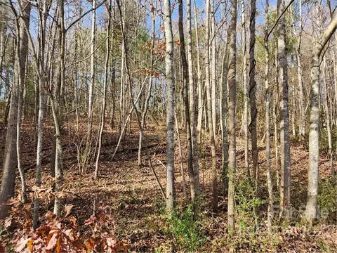 Dudley Shoals Road, Granite Falls, NC 28630