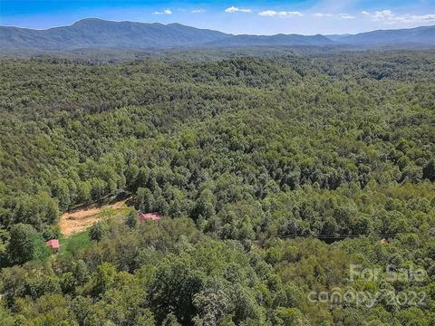 1292 W Mcguinn Rd, Mill Spring, NC 28756 photo 4