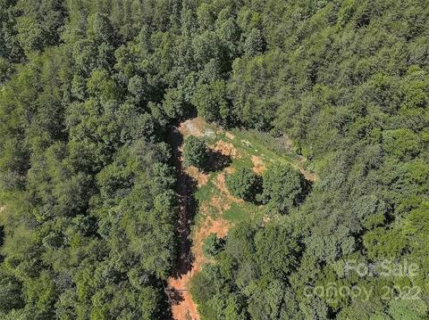 1292 W Mcguinn Rd, Mill Spring, NC 28756 photo 3