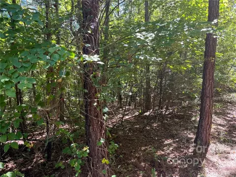 0 Pearidge 9 Rd #9, Bostic, NC 28018 photo 3