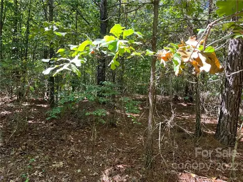 0 Pearidge 9 Rd #9, Bostic, NC 28018 photo 7