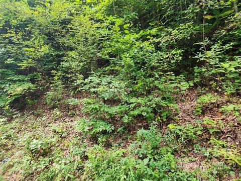 00 Seven Mile Ridge Rd, Burnsville, NC 28714