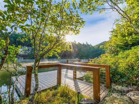 1690 Eagle Lake Dr, Brevard, NC 28712 photo 9