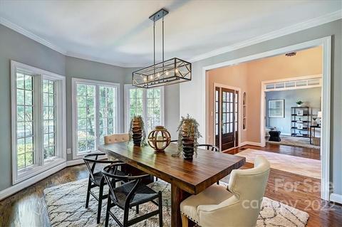 1121 Hudson Pl, Davidson, NC 28036 photo 13
