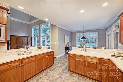 1121 Hudson Pl, Davidson, NC 28036 photo 25