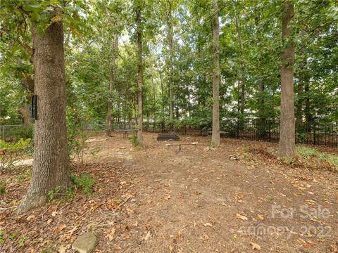 3022 Trellis Ln, Monroe, NC 28110 photo 8