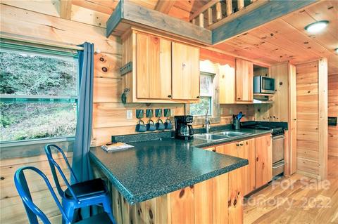 1302 Glady Fork Rd, Brevard, NC 28712 photo 11