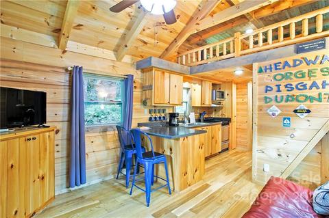 1302 Glady Fork Rd, Brevard, NC 28712 photo 6