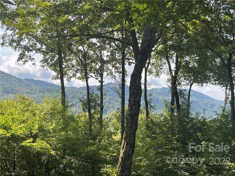 216 Hampton Gap Dr, Mars Hill, NC 28754 photo 43
