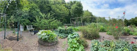 3616 Morgan Mill Rd, Monroe, NC 28110 photo 9