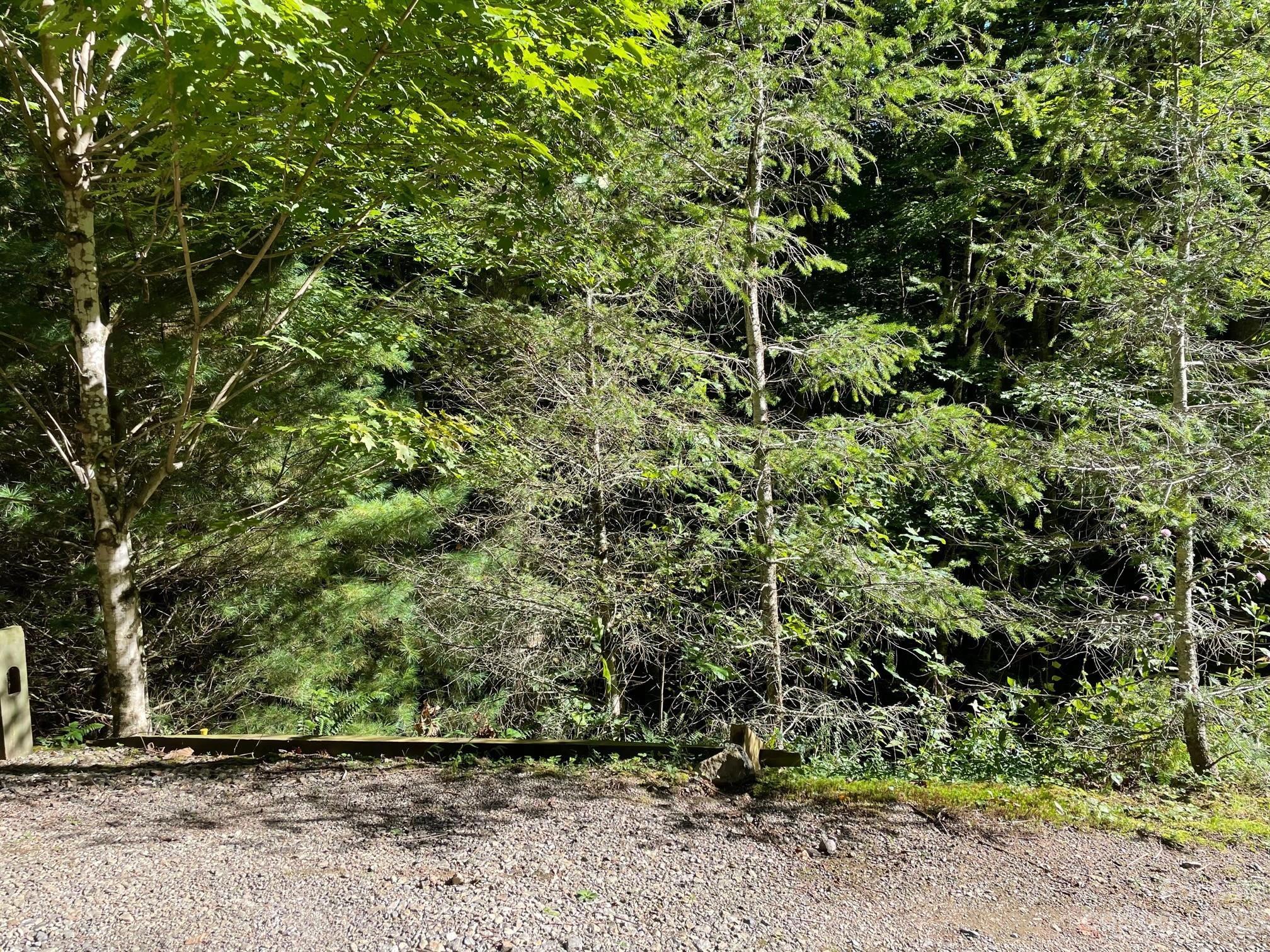 23 English Ridge 23 Dr Unit 23  