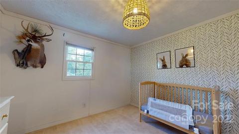 577 Causby Rd, Morganton, NC 28655 photo 28