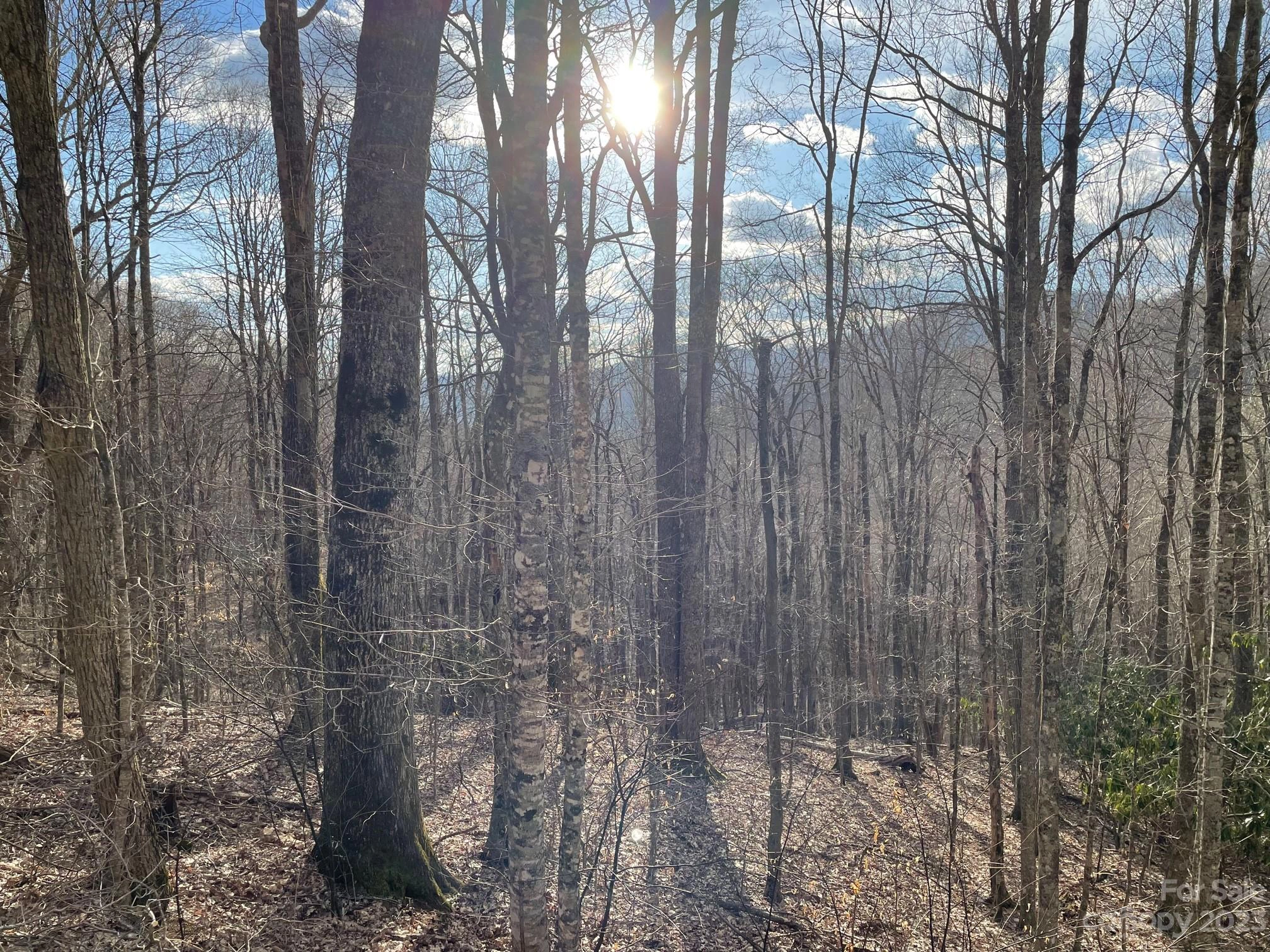 203 Mcdaris Loop 203 Dr Unit 203  