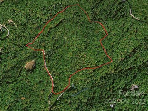 125 Indian Camp Mountain Road #TR 125, Rosman, NC 28772
