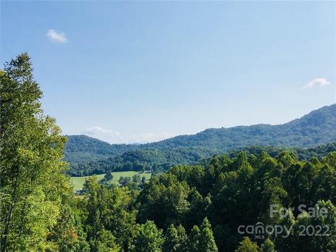 Tamarack 40 & 41 Trail #40 & 41, Waynesville, NC 28785