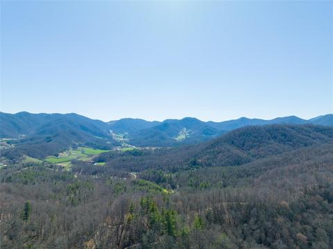 1088 Clarks Branch Rd, Leicester, NC 28748