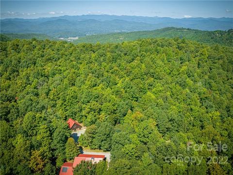 421 Fox Tower Rd, Brevard, NC 28712 photo 5