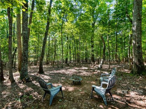 1480 Peniel Rd, Tryon, NC 28782 photo 35