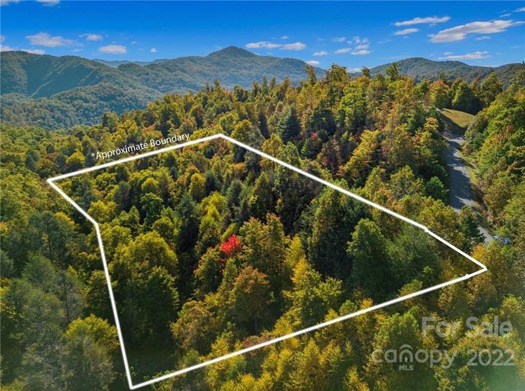 25 Waterfall 61 Trl Unit 61  