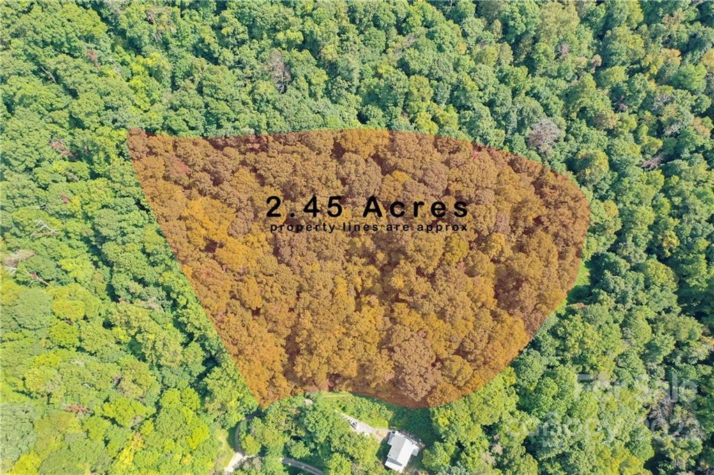 00 Split Pine 1920 Cv Unit 19 20  