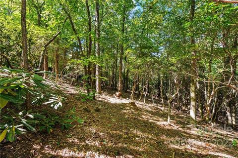 73 Bear Cub Dr, Spruce Pine, NC 28777 photo 32