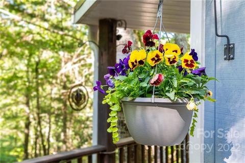 73 Bear Cub Dr, Spruce Pine, NC 28777 photo 10