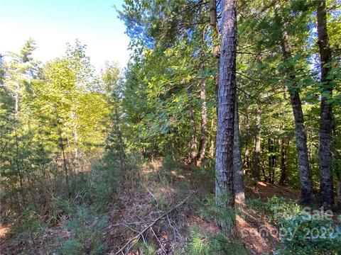 260 Sycamore 44-12 Dr #44-12, Nebo, NC 28761